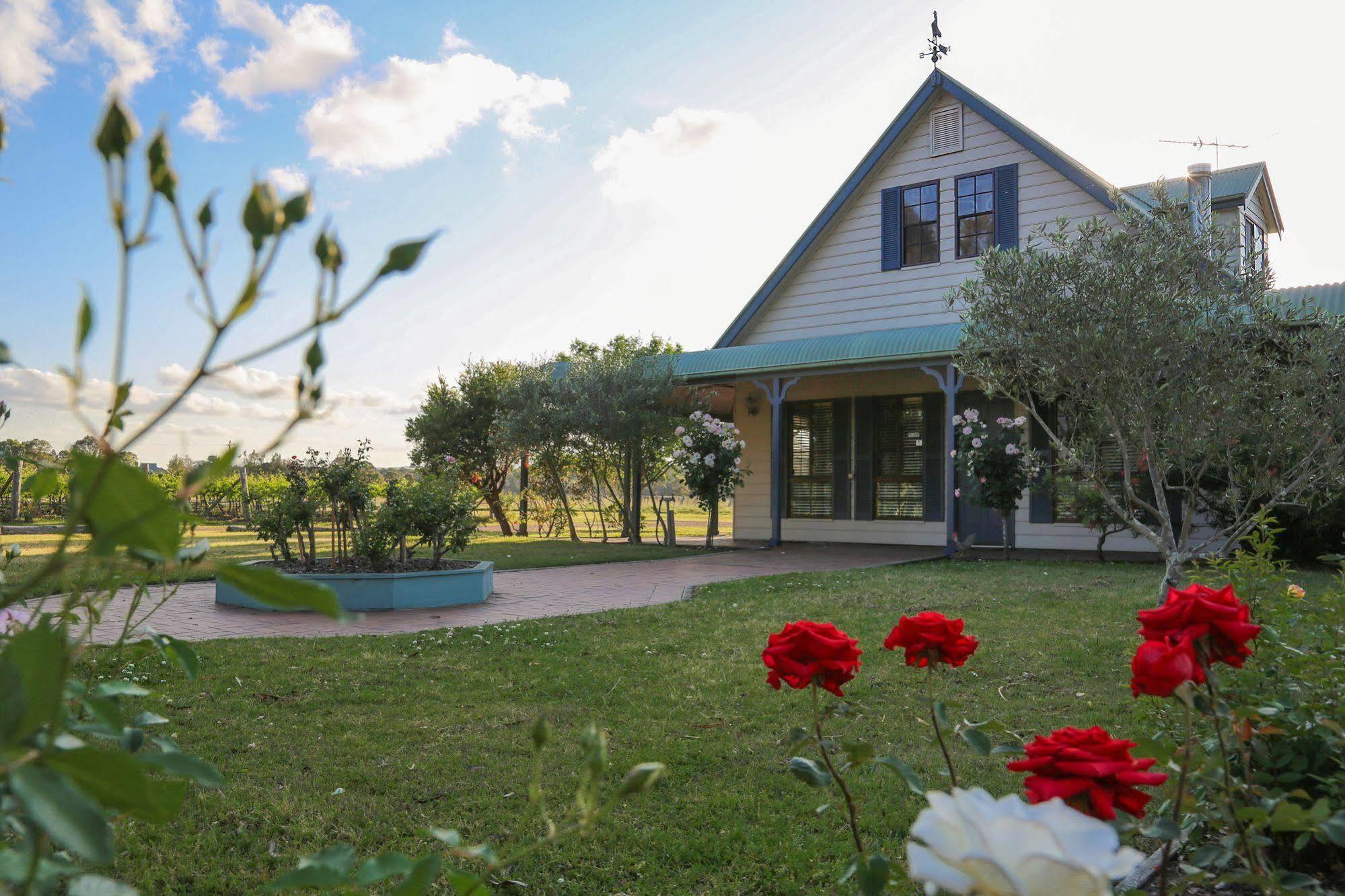 Emma'S Cottage Vineyard Lovedale Ngoại thất bức ảnh