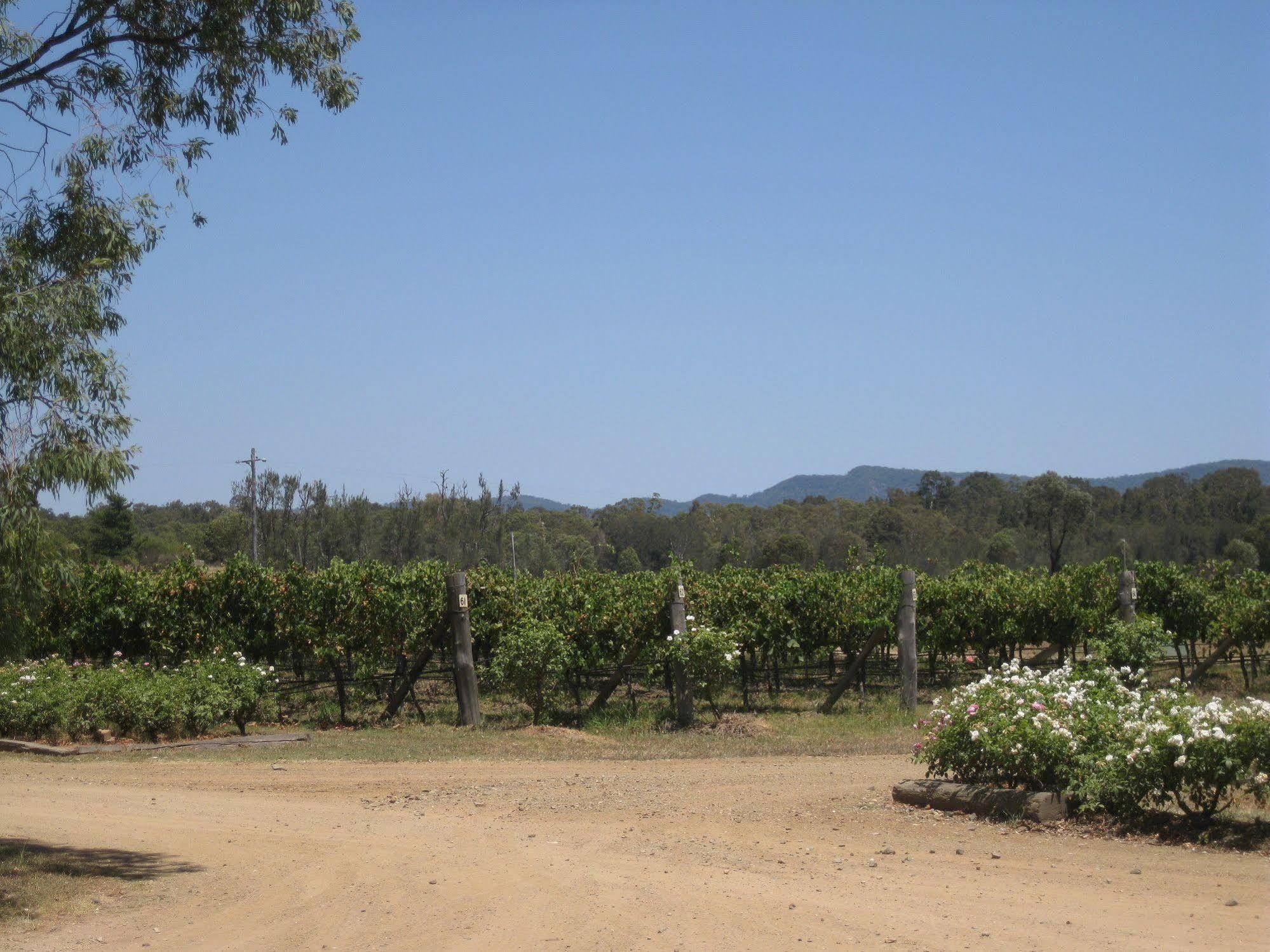 Emma'S Cottage Vineyard Lovedale Ngoại thất bức ảnh