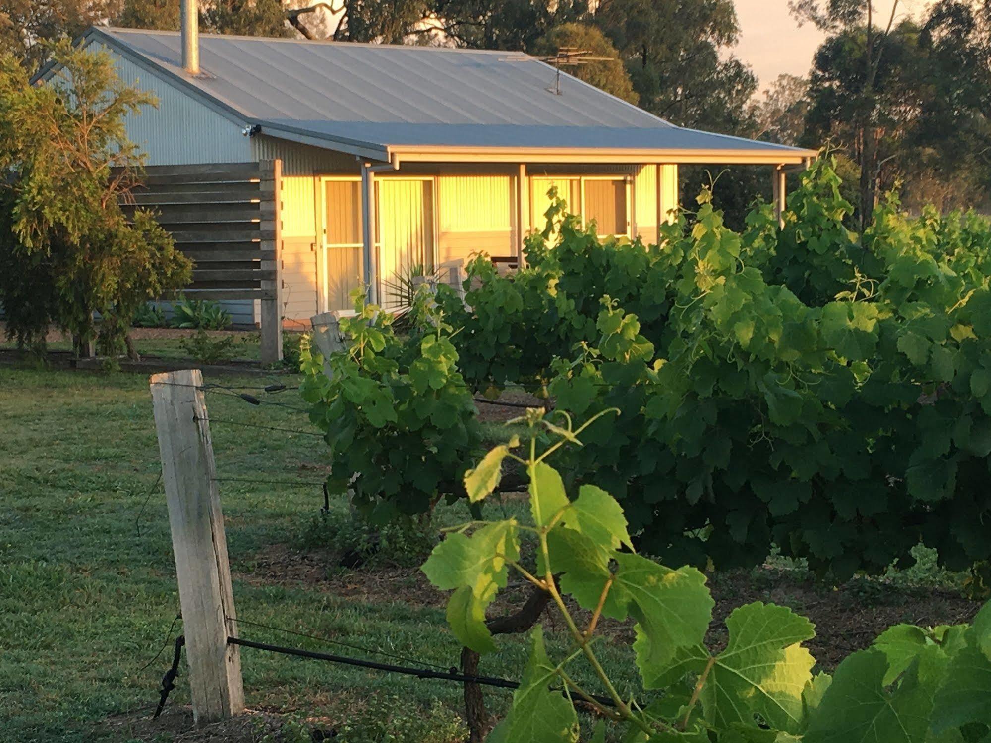 Emma'S Cottage Vineyard Lovedale Ngoại thất bức ảnh