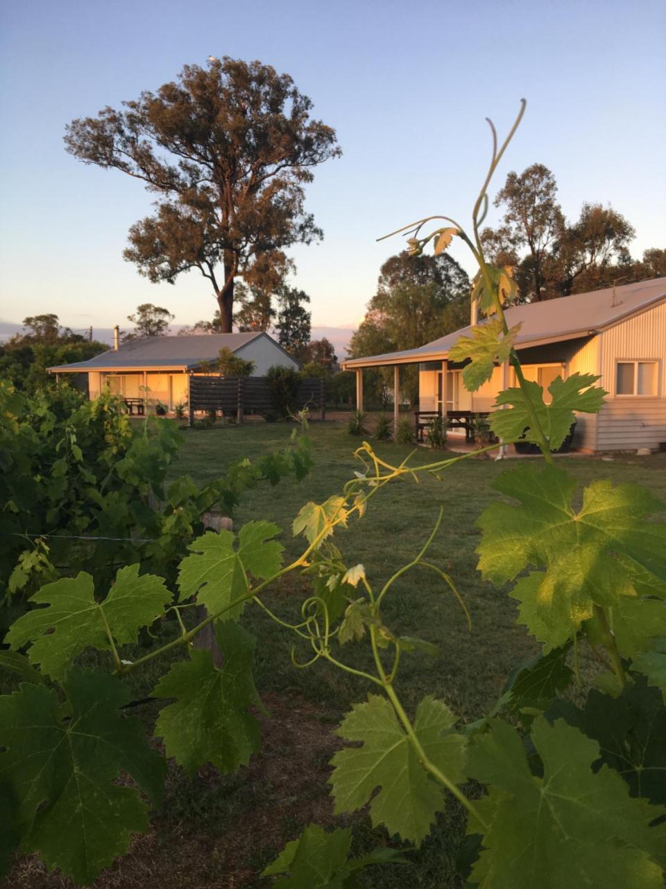 Emma'S Cottage Vineyard Lovedale Ngoại thất bức ảnh
